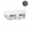 DM-0082-14-00 MULTIDIR TRIMLESS 2x100W AR111 G53 IP20 белый Cветильник встраиваемый LEDS-C4